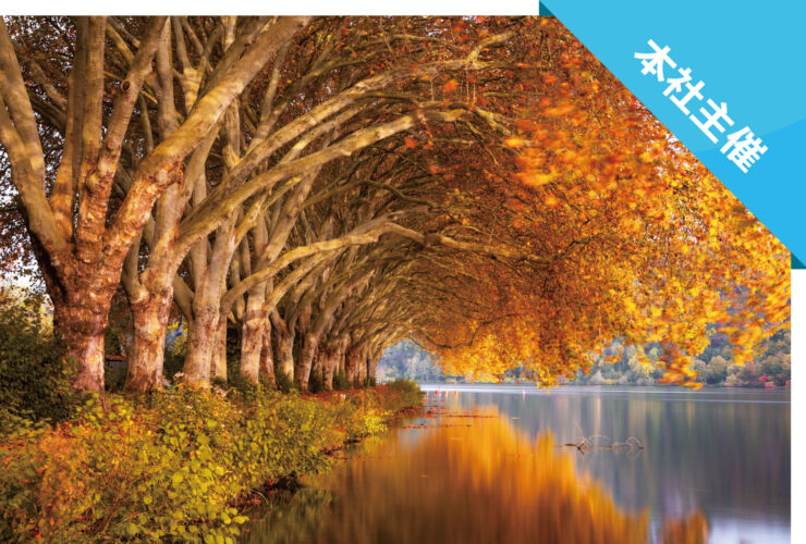 福岡 ハンドセラピス美容学院 旧 エナジーテラピー