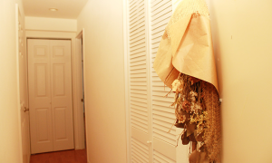 6576b69e-31b0-453e-b70a-682cc0a804e3