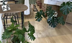 ueno chisato salon202510